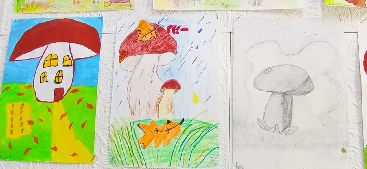 IMG 20251107 WA0072 1