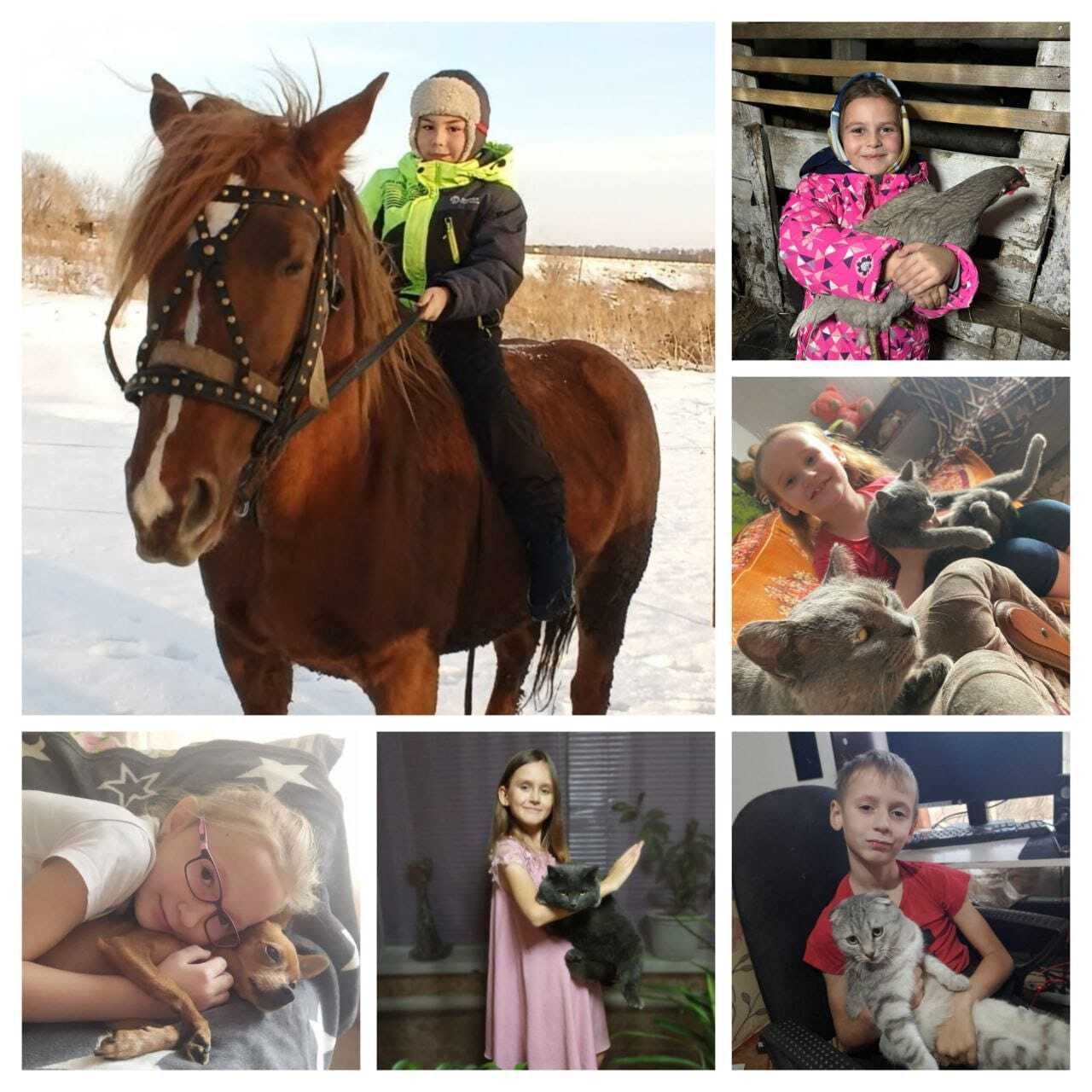 день животных