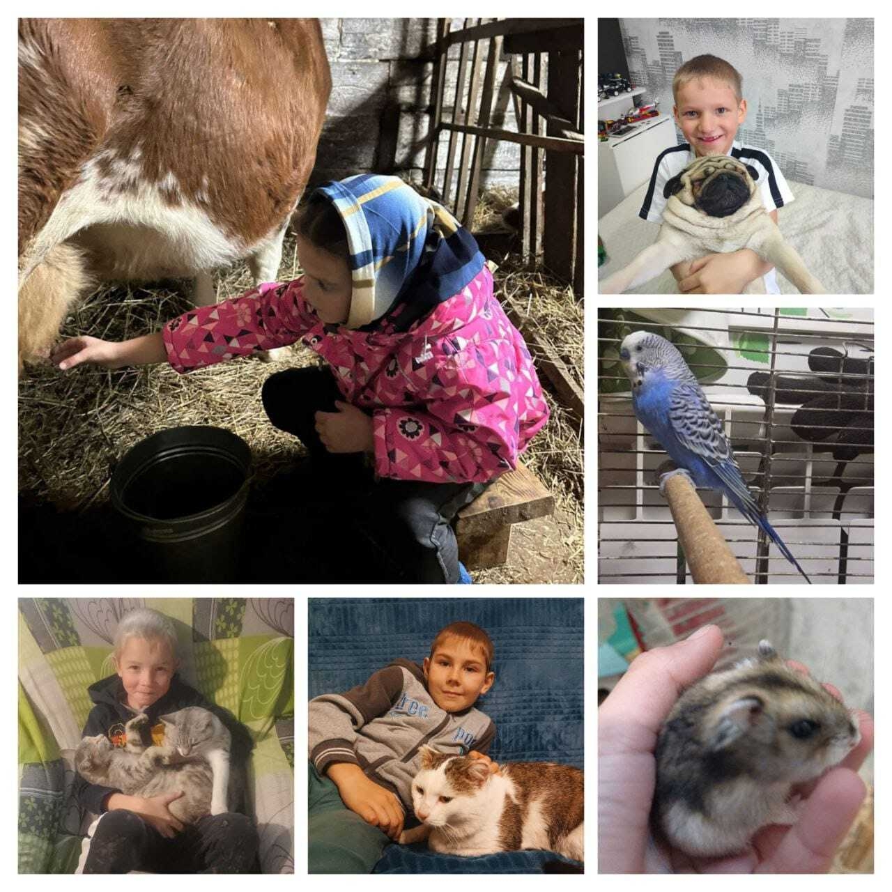 день животных 1